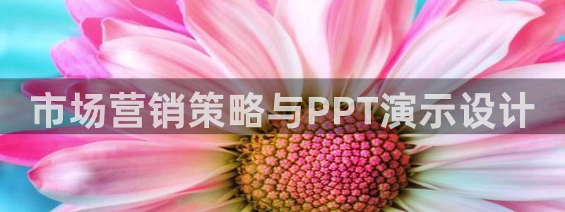 必赢平台官方电话