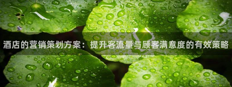 必赢72886网址多少啊