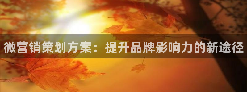必赢公司
