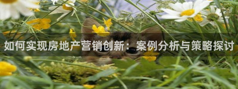 必赢手机app下载安装