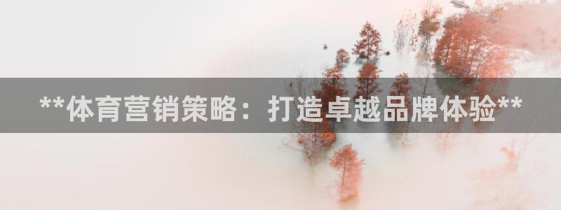 必赢国际437a