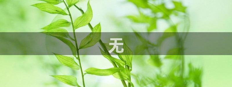 必赢3003am