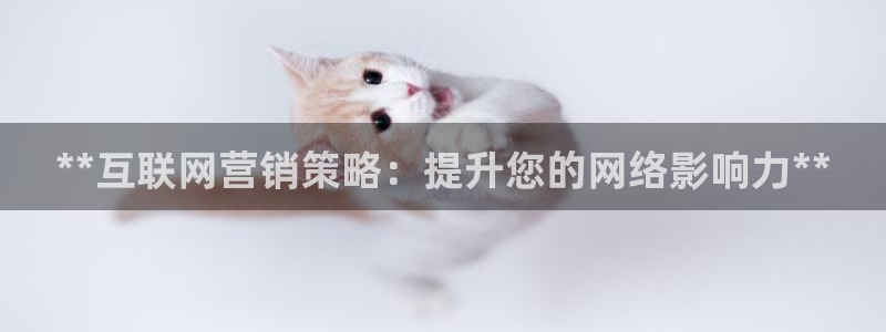 必赢科技