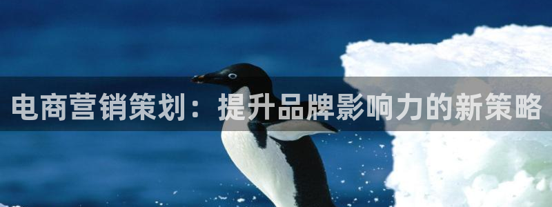 必赢科技中国有限公司