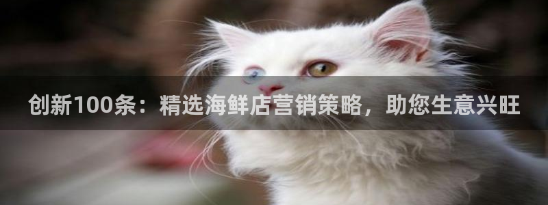 必赢网怎么打不开了