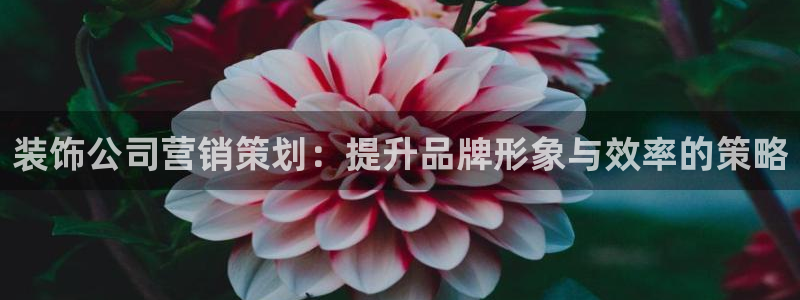 必赢官网app下载安装手机版