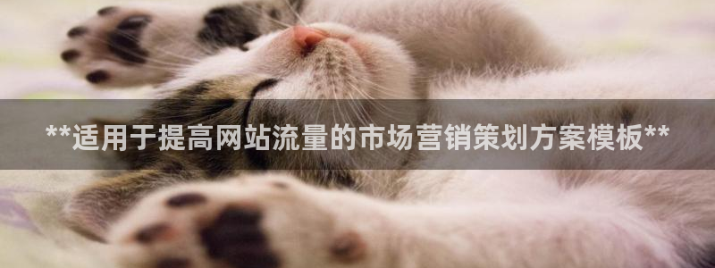 必赢国际app下链接