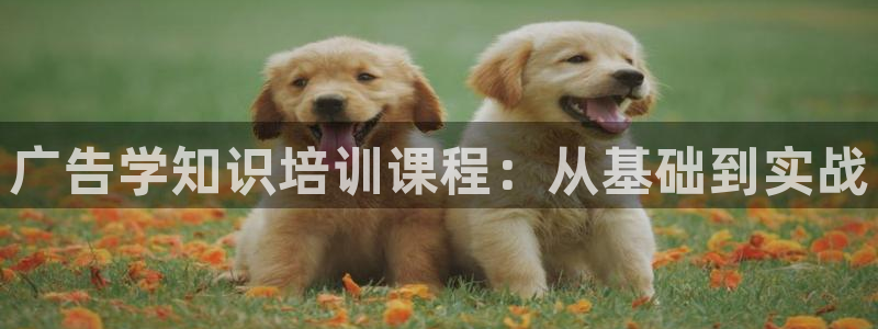 必赢这个软件怎么样可靠吗
