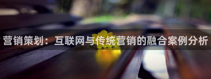必赢网下载