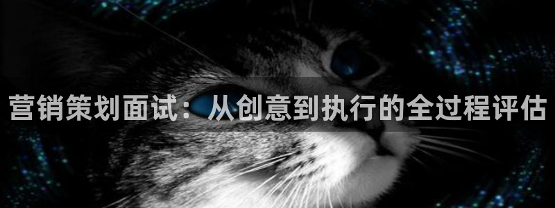 必赢网站是哪一个