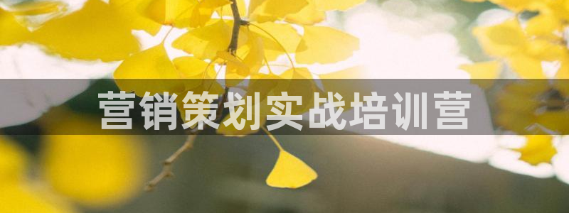9965必赢游戏app