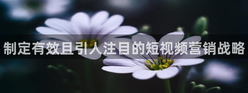 9965必赢棋官方网站怎么样