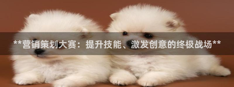必赢网址手机主页打不开