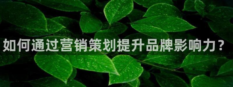 必赢下载官方