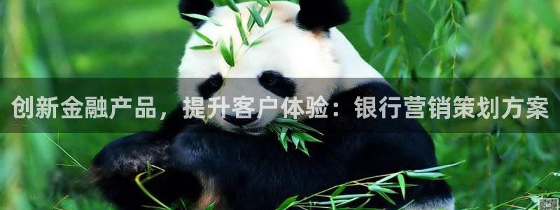 必赢72886后面字母是多少