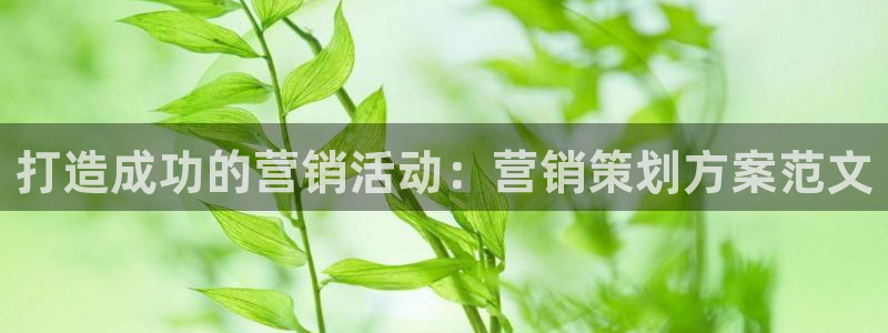 7321必赢安全吗
