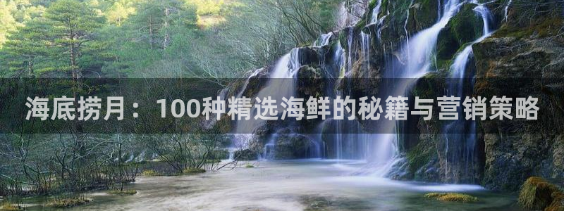 必赢客安卓版