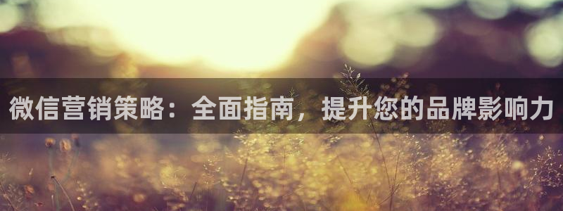 必赢平台官方