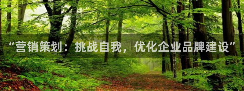 必赢app官方