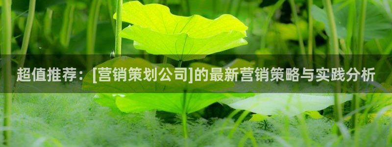 必赢官网app下载安装手机版苹果