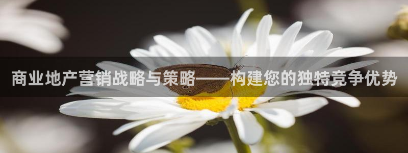 必赢网址谁知道