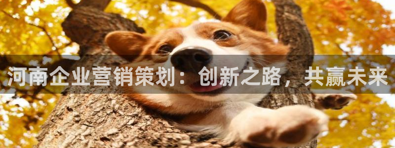 必赢集团网站首页