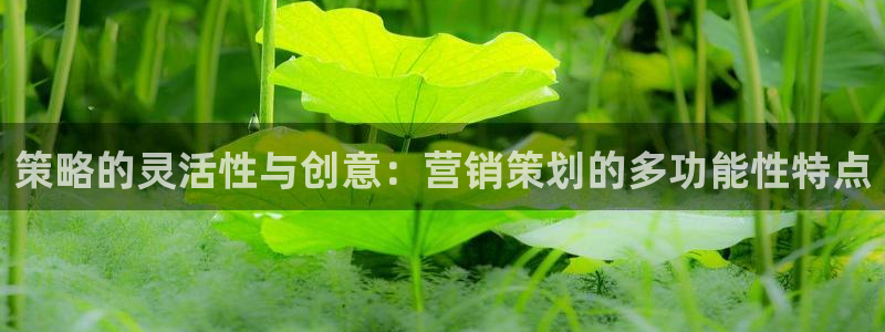 必赢亚赢网站官网下载安装手机版