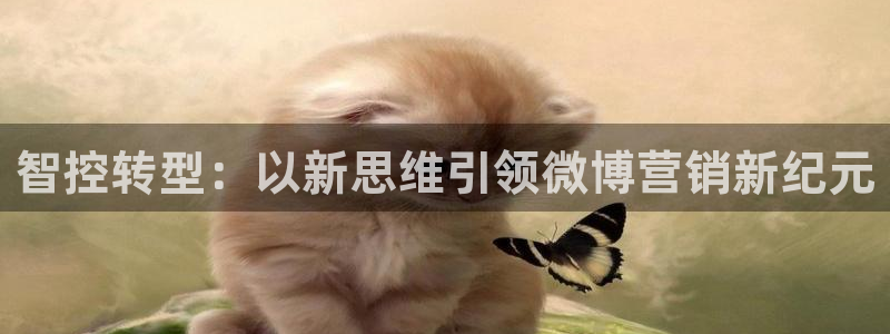 必赢3003必赢贵族宾会