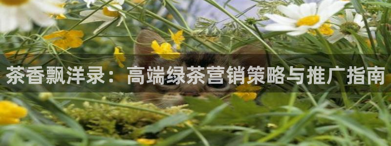 必赢棋脾9655app下载
