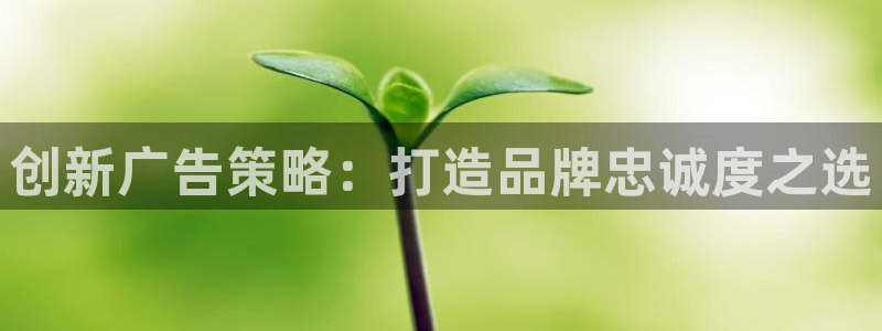 必赢官网网址多少号