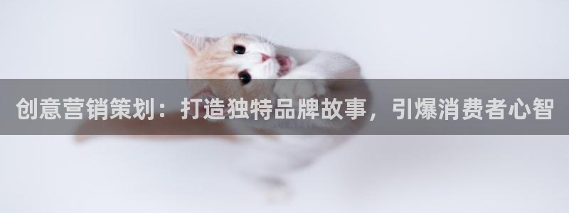 必赢客软件