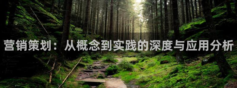 9965必赢游戏app大全