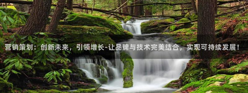 必赢网站网址是多少