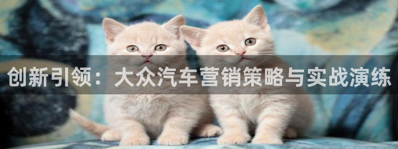 必赢565net官网：创新引领