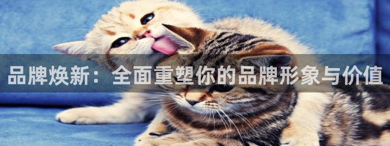 必赢3003网官：品牌焕新：全