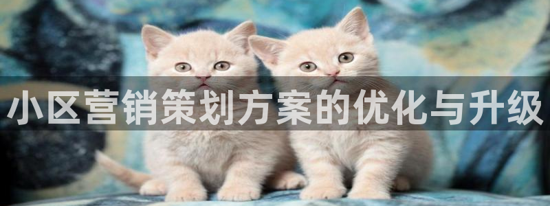 必赢国际437官方简介：小区营