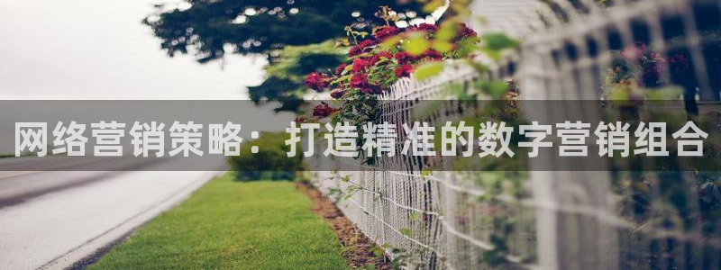 必赢国际网站合法吗：网络营销策