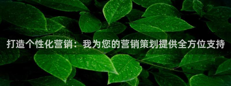 必赢线上网址