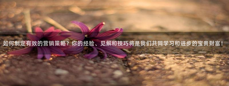 必赢官网下载app