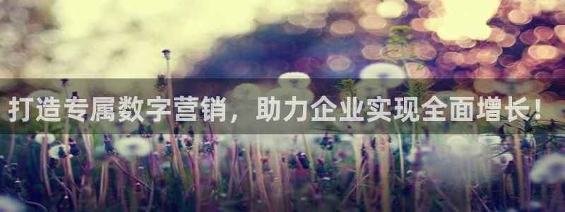 必赢下载安卓版
