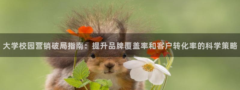 必赢手机app下载