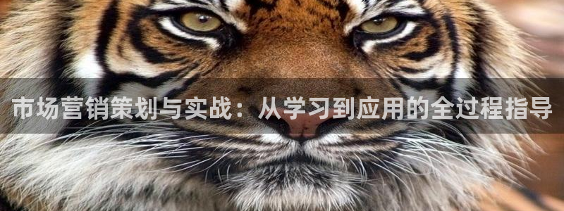 必赢国际苹果怎么下载