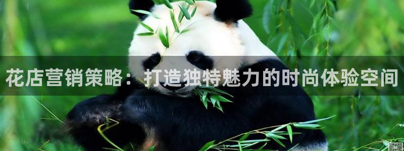 必赢官网下载