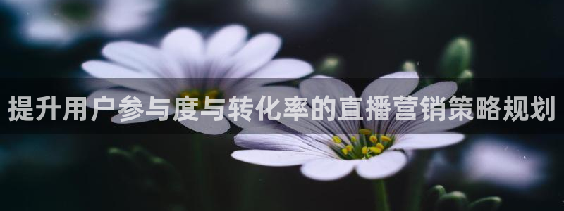 必赢平台官方网址