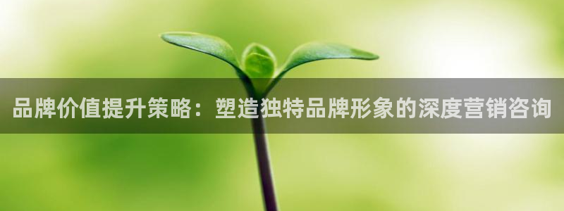 必赢766