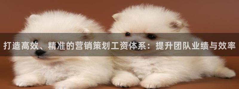 必赢手机app下载安装最新版