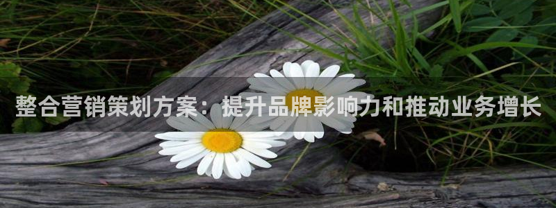 必赢资讯下载