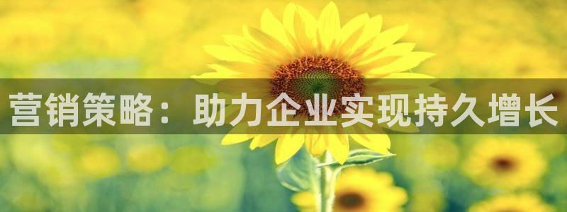 必赢国际437官网版