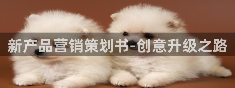 必赢官网下载安装
