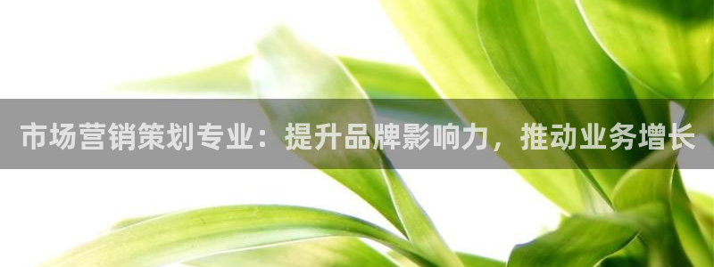 必赢科技北京有限公司